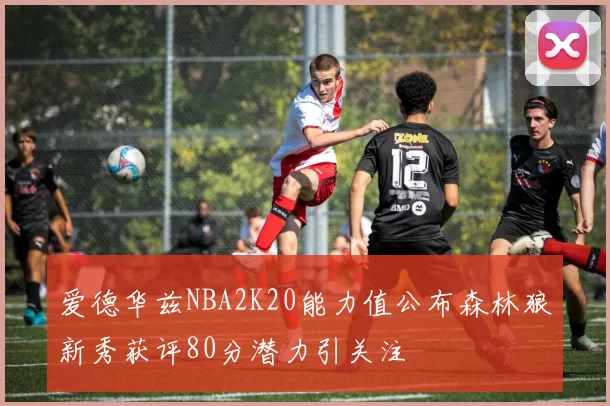爱德华兹NBA2K20能力值公布森林狼新秀获评80分潜力引关注