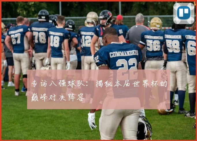 专访八强球队:揭秘本届世界杯的巅峰对决阵容