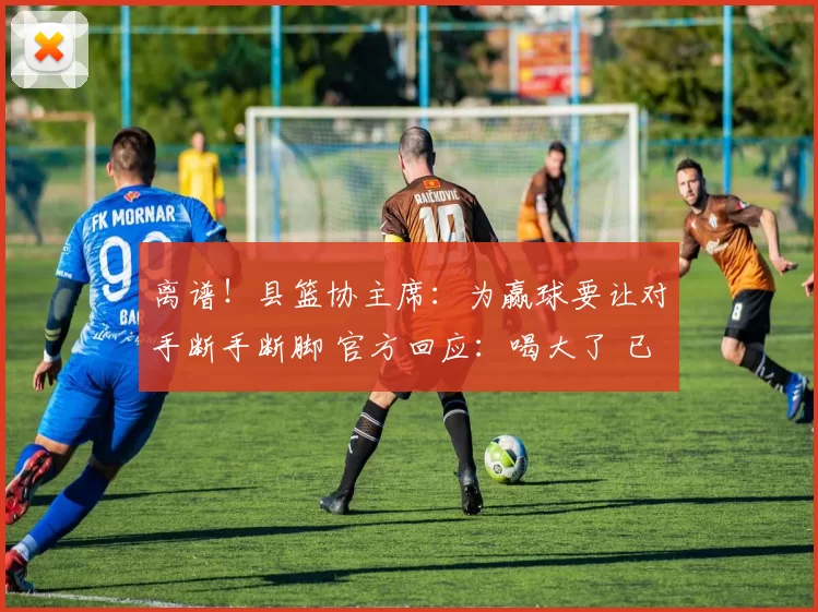 离谱!县篮协主席:为赢球要让对手断手断脚 官方回应:喝大了 已免职