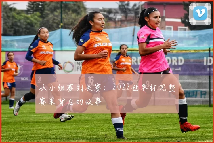 从小组赛到决赛：2022世界杯完整赛果背后的故事