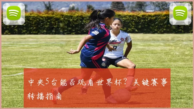 中央5台能否观看世界杯？关键赛事转播指南