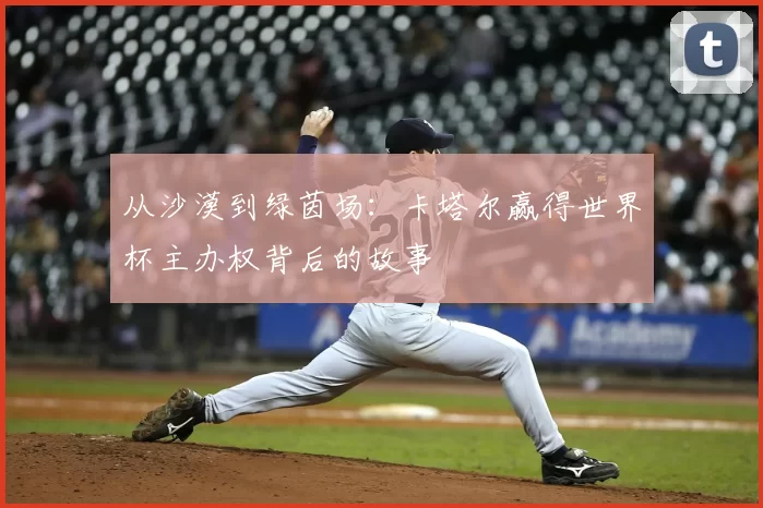 从沙漠到绿茵场：卡塔尔赢得世界杯主办权背后的故事