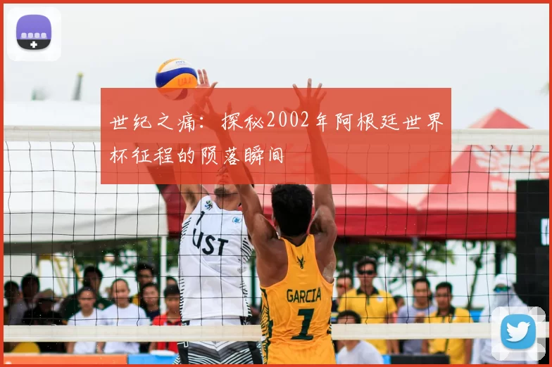 世纪之痛：探秘2002年阿根廷世界杯征程的陨落瞬间