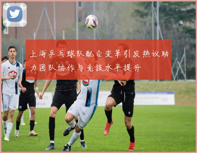 上海乒乓球队配合变革引发热议助力团队协作与竞技水平提升