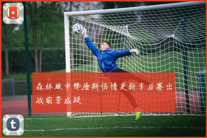 森林狼中锋唐斯伤情更新季后赛出战前景成疑