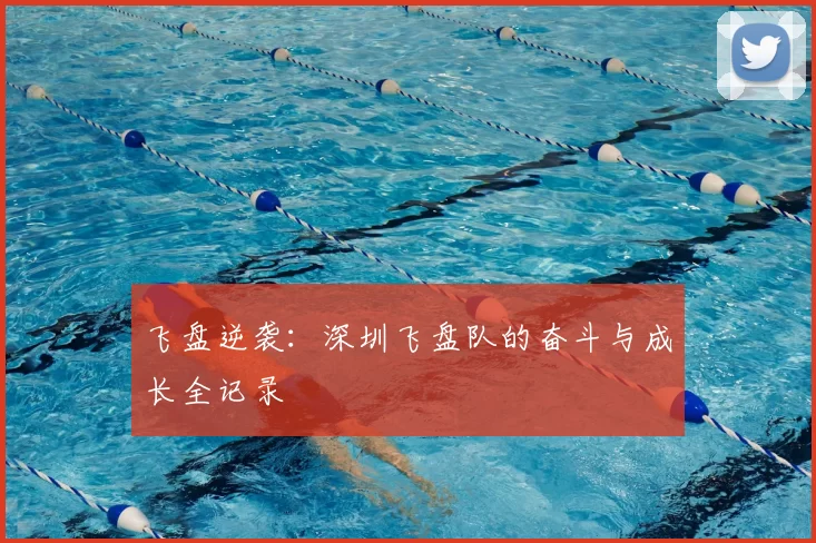 飞盘逆袭：深圳飞盘队的奋斗与成长全记录