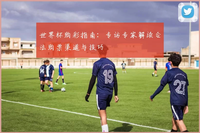 世界杯购彩指南:专访专家解读合法购票渠道与技巧