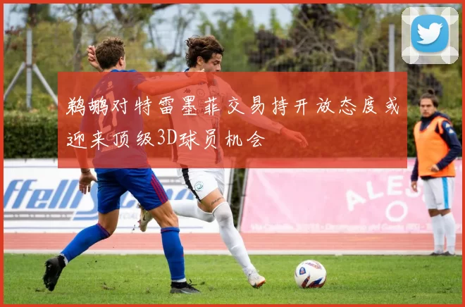 鹈鹕对特雷墨菲交易持开放态度或迎来顶级3D球员机会