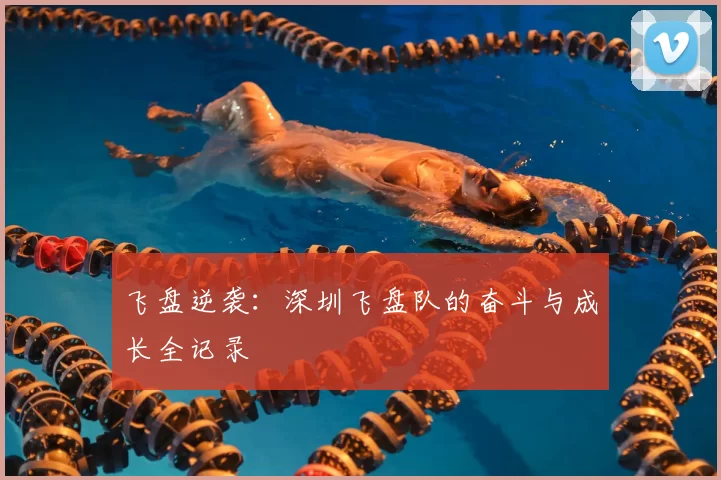 飞盘逆袭：深圳飞盘队的奋斗与成长全记录