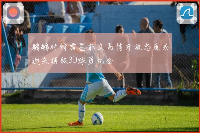 鹈鹕对特雷墨菲交易持开放态度或迎来顶级3D球员机会