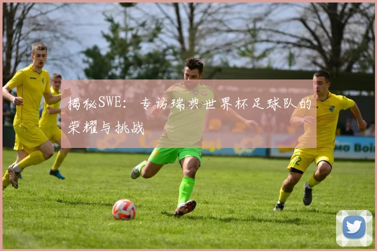 揭秘SWE：专访瑞典世界杯足球队的荣耀与挑战