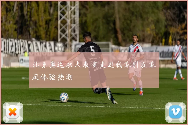 北京奥运功夫表演走进我家引发家庭体验热潮