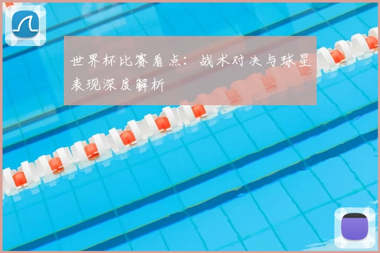 世界杯比赛看点：战术对决与球星表现深度解析
