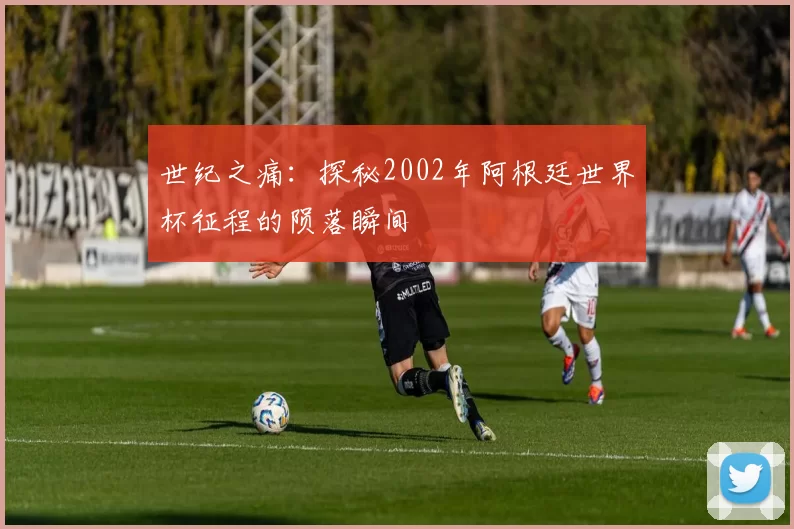 世纪之痛:探秘2002年阿根廷世界杯征程的陨落瞬间