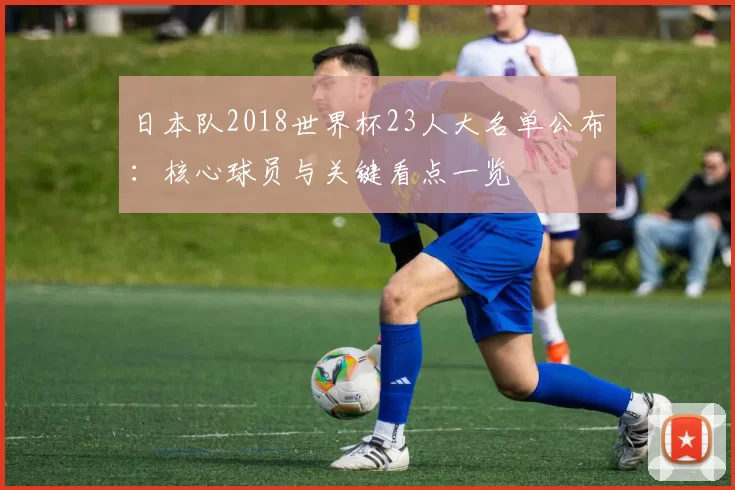 日本队2018世界杯23人大名单公布：核心球员与关键看点一览