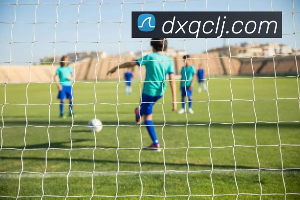 博亚官网品牌故事