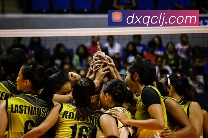 博亚官网服务体系