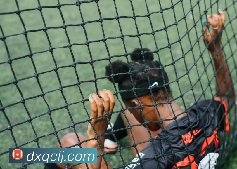 博亚官网APP 封面图